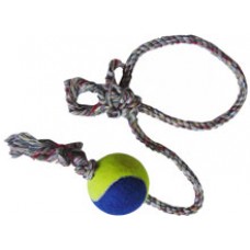 19113 - DENTAL BONE A - 01 BOLA DE TENIS