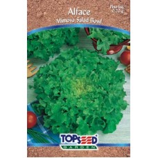 12037 - SEMENTES ALFACE MIMOSA SALADA C/20