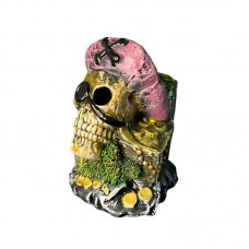 22073 - CAVEIRA NO BAU DECORADA