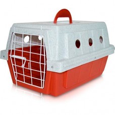 14536 - CAIXA TRANSPORTE CLICKNEW N  2 VERMELHA