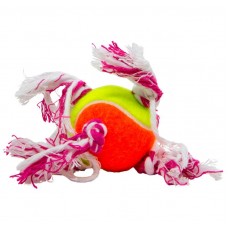 10712 - BRINQUEDO DENTAL BONE