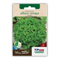 16372 - SEMENTES ALFACE CRESPA VERAO C/20