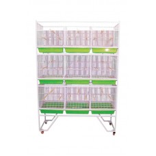 17031 - EXPOSITOR PARA PASSARO C/ 9 DIVISORIAS