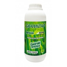 22966 - GRAMIZAP IMAZAPIR 1LT