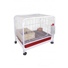 18414 - COELHEIRA TUBOLAR