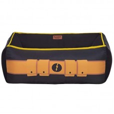 22523 - CAMINHAO RAIO SOMBRIO P