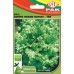SEMENTES ALFACE CRESPA INVERNO C/20